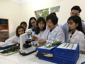 Nâng cao chất lượng học tập học phần Bảo vệ thực vật cho sinh viên ngoại khoa