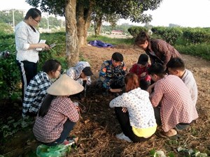 CLB Định hướng nghề nghiệp khoa Nông học tổ chức tập huấn kỹ thuật ghép cây cho các thành viên   Chia sẻ