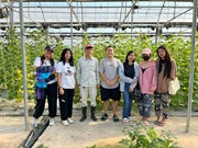 Sinh viên CTTT thăm quan mô hình khoa Nông học về sản xuất nông nghiệp hữu cơ và quản lý đất bền vững.