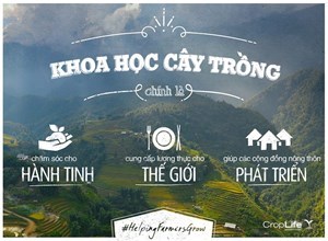 Chương trình đào tạo ngành Khoa học cây trồng năm 2024