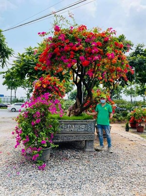 Tuyển kỹ sư Khoa học cây trồng làm việc tại Công viên hoa Hồng Đại Ngọc Sơn, Long Biên, Hà Nội