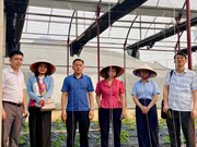 Bộ môn Nông nghiệp Công nghệ cao tăng cường kết nối với Trung tâm Nghiên cứu giống cây trồng và vật nuôi (CPA)
