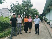 Bộ môn Nông nghiệp Công nghệ cao tăng cường kết nối hợp tác trong lĩnh vực công nghệ nuôi cấy mô – tế bào thực vật